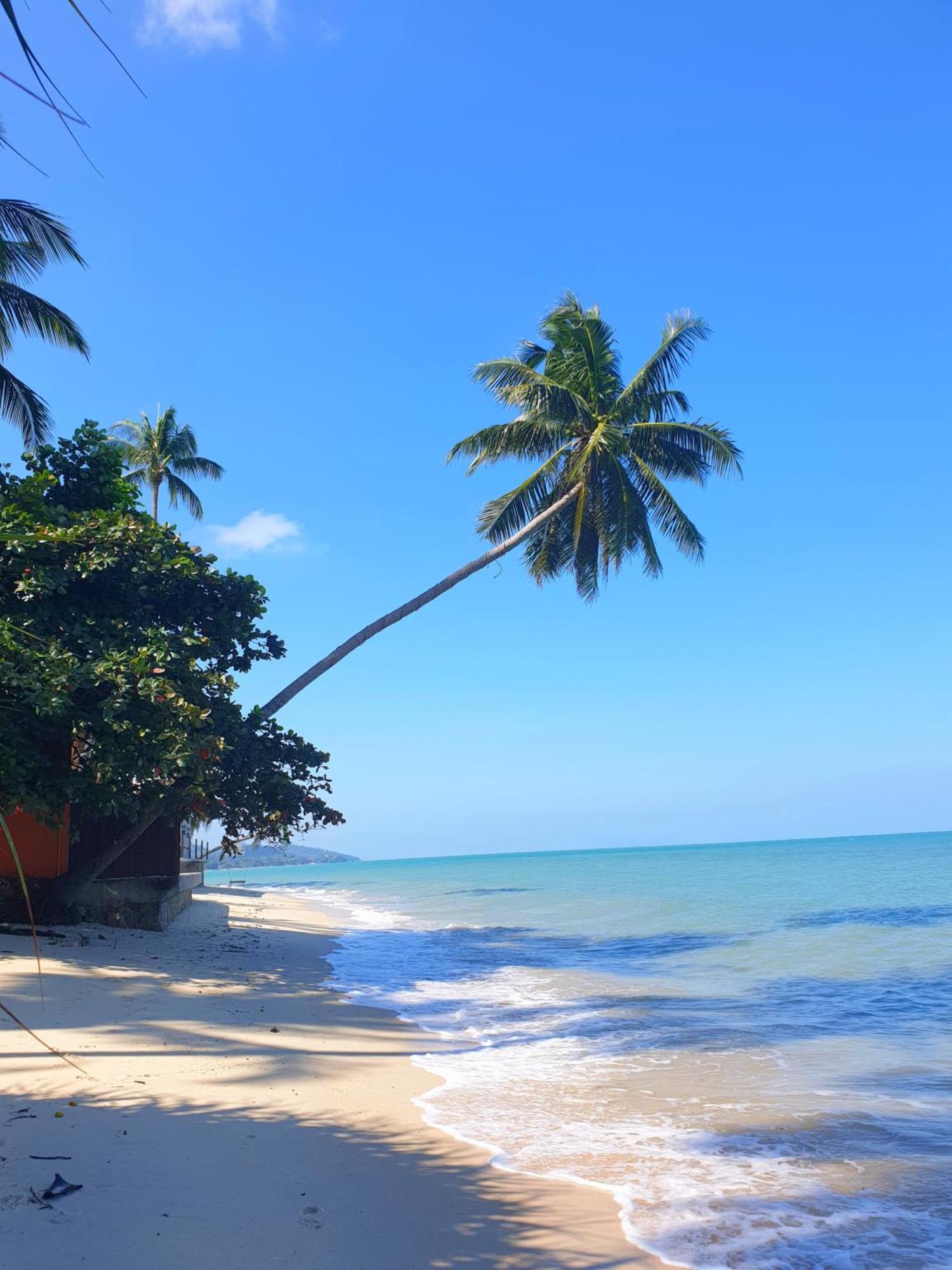 Bed and Breakfast Samui Blue Bird Маенам Экстерьер фото